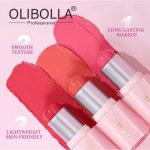 رژگونه استیکی طرح شیگلم